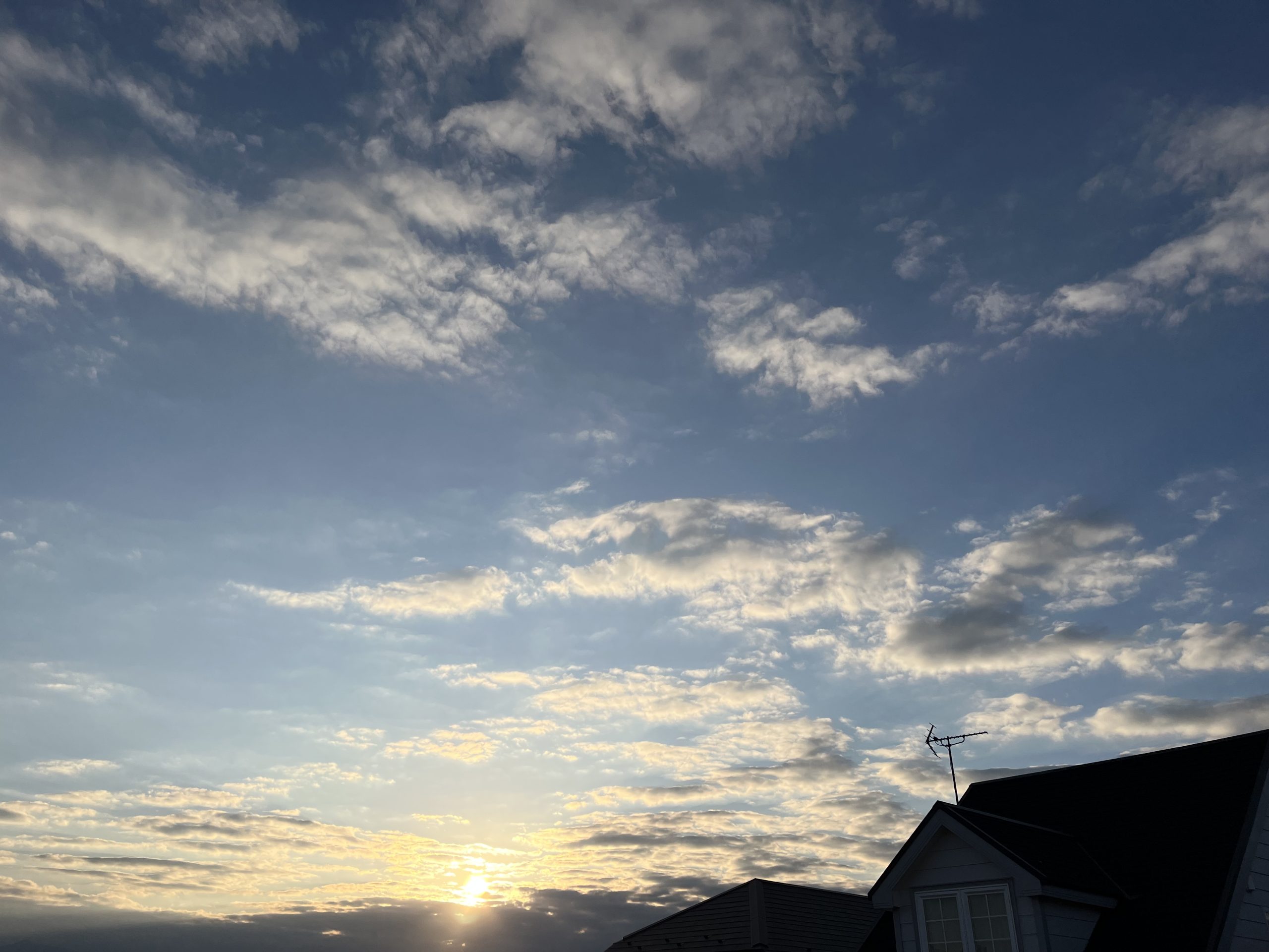 Vegeets【コールドプレスジュース】いつ飲む？赤ちゃんにもいい？スムージーとの違いは？