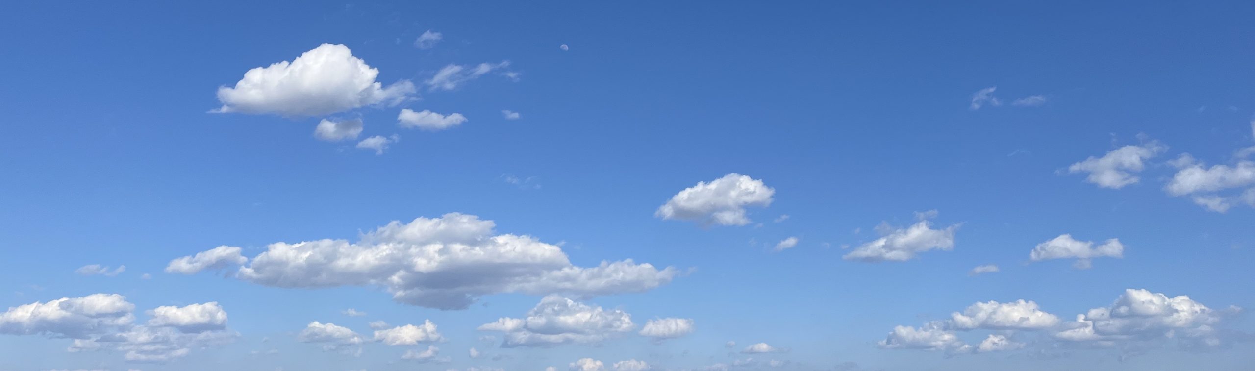 Vegeets【コールドプレスジュース】いつ飲む？赤ちゃんにもいい？スムージーとの違いは？